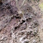Samothraki